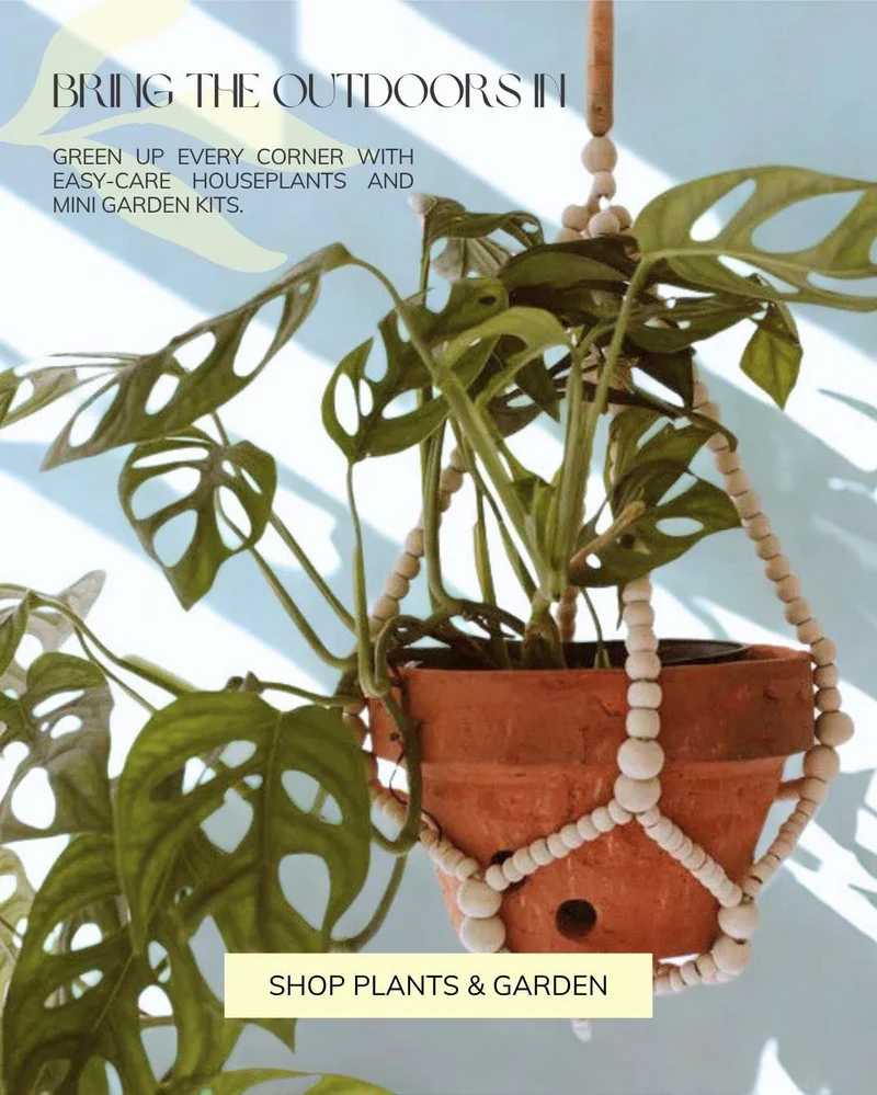 Shop Plants and Garden