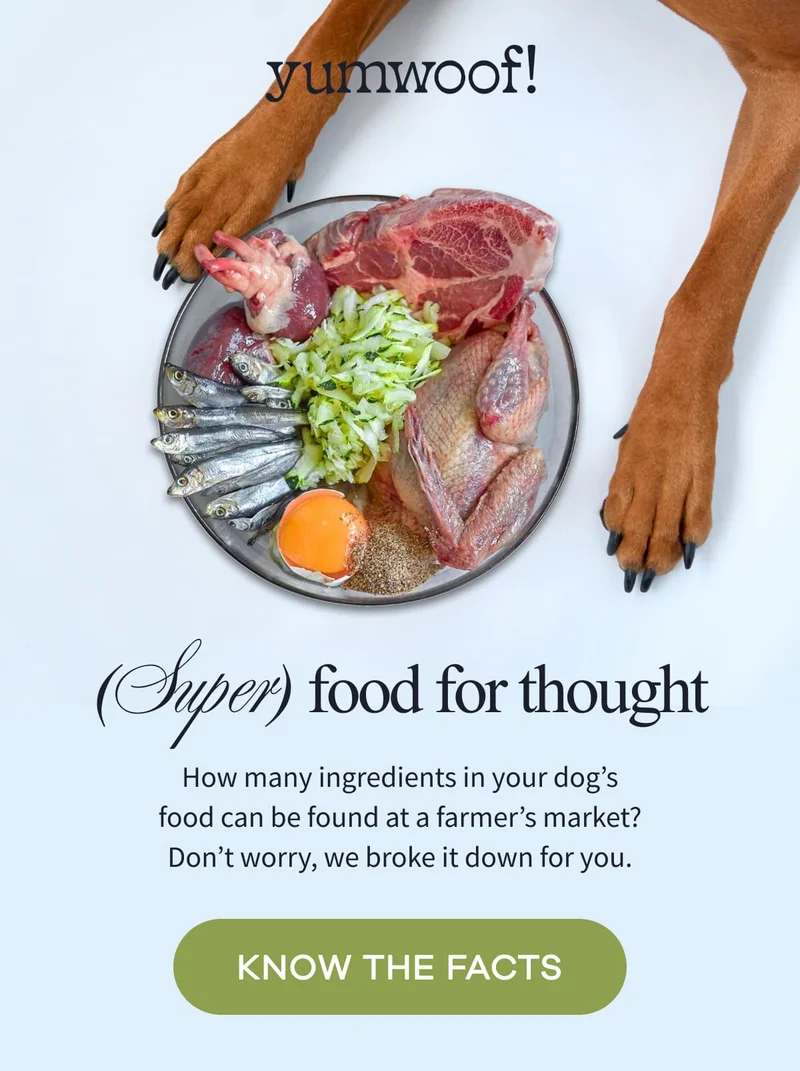 yumwoof! | ( Super) food for thought | How many ingredients in your dog’s food can be found at a farmer’s market? Don’t worry, we broke it down for you. | KNOW THE FACTS