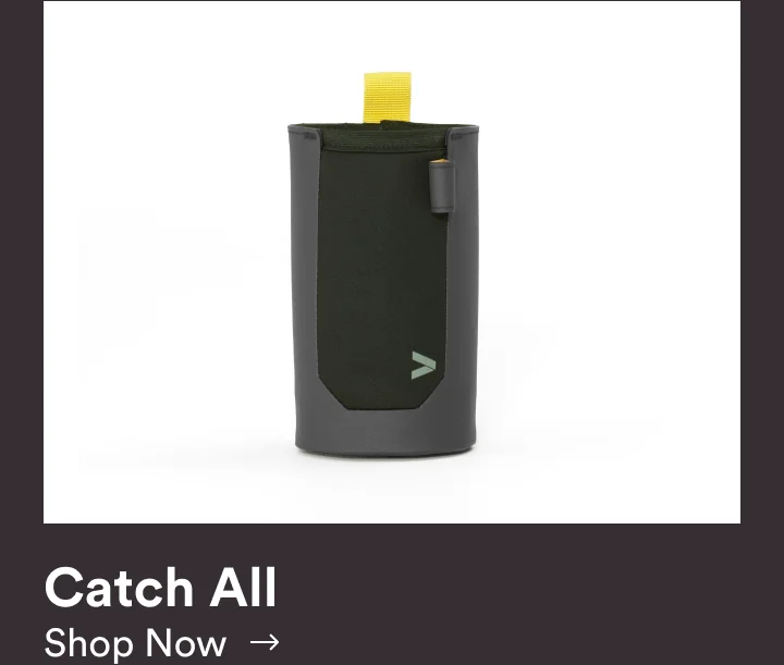 catch all