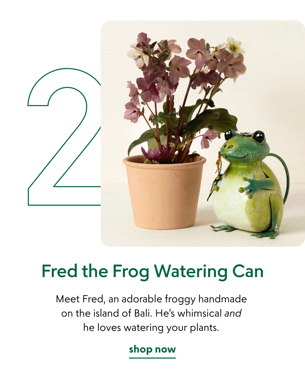Fred the Frog Watering Can