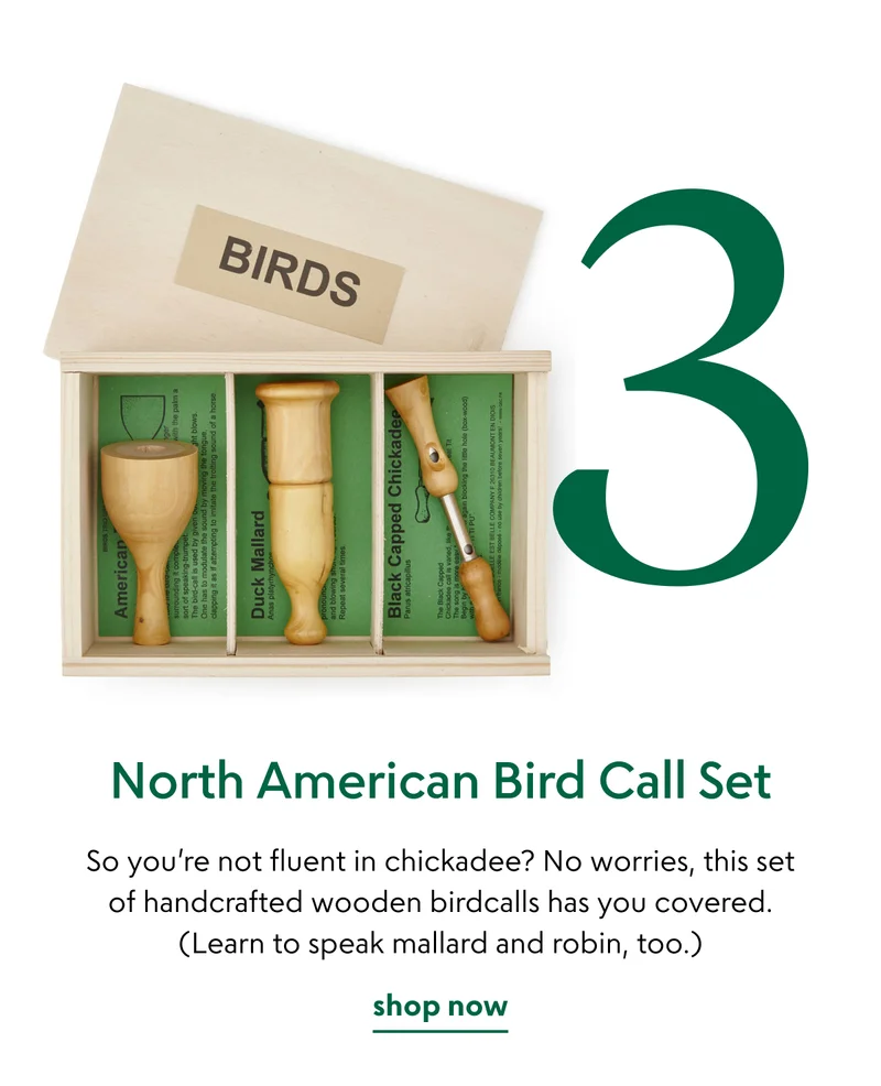 North American Bird Call Set