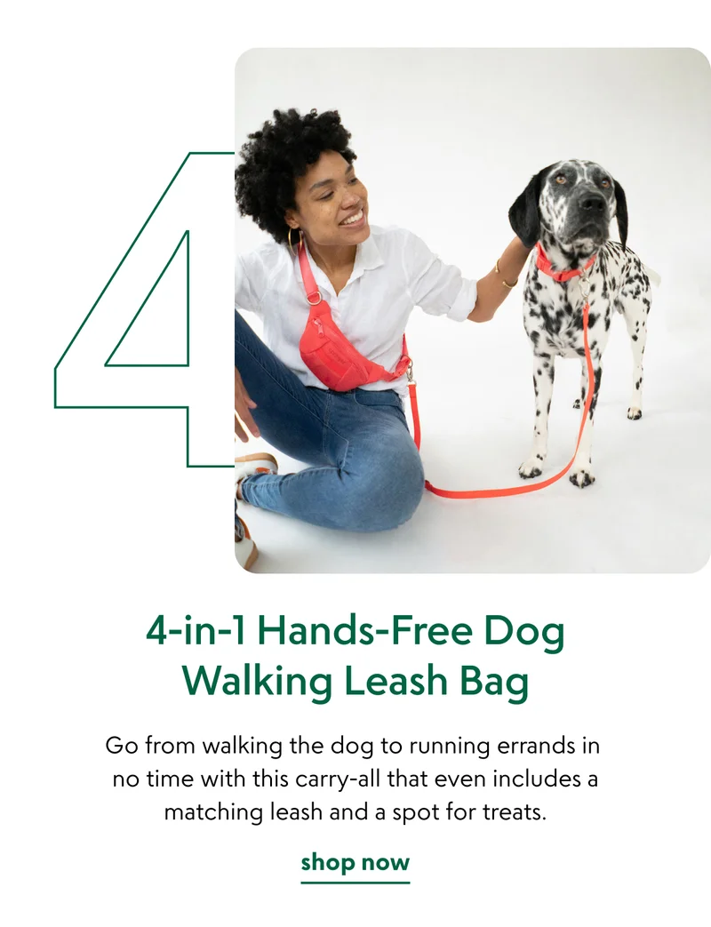 4-in-1 Hands-Free Dog Walking Leash Bag
