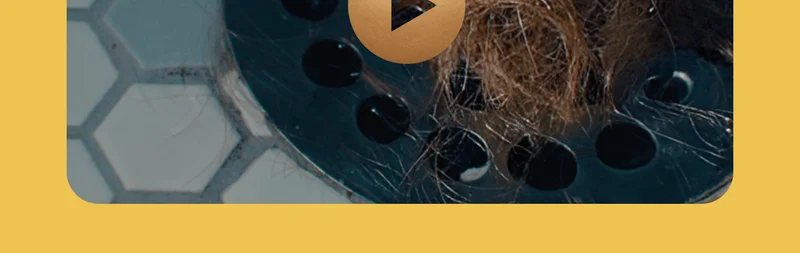 WATCH THE VIDEO