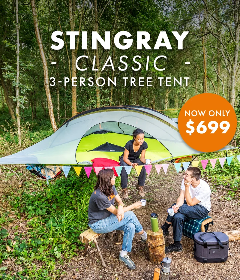Stingray Only $699