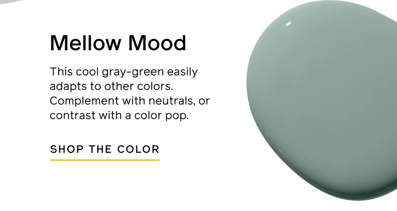 Mellow Mood. This cool gray-green easily adapts to to other colors. Complement with neutrals, or contrast with a color pop. SHOP THE COLOR