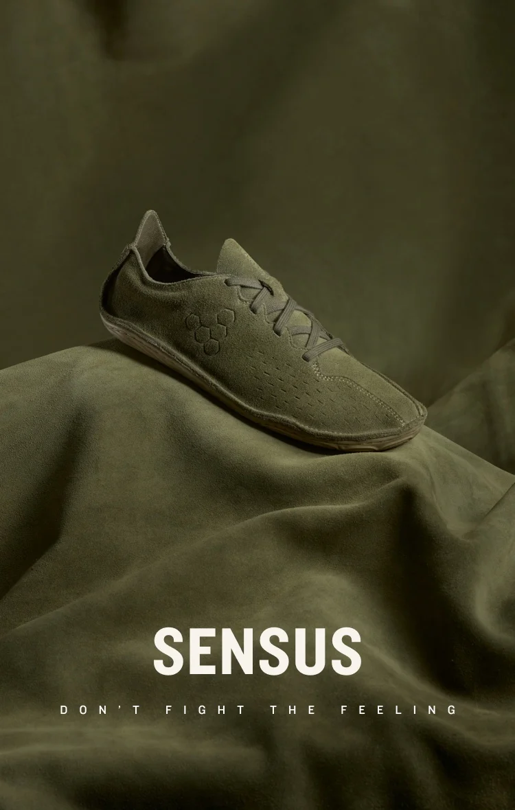 DISCOVER THE SENSUS
