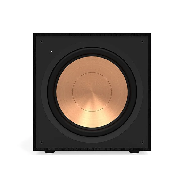 R-121SW 12” SUBWOOFER