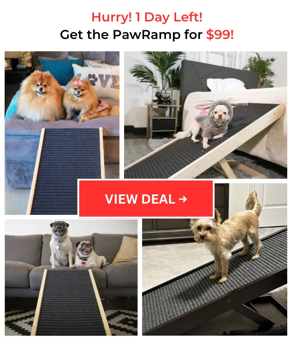 PawRamp Sale