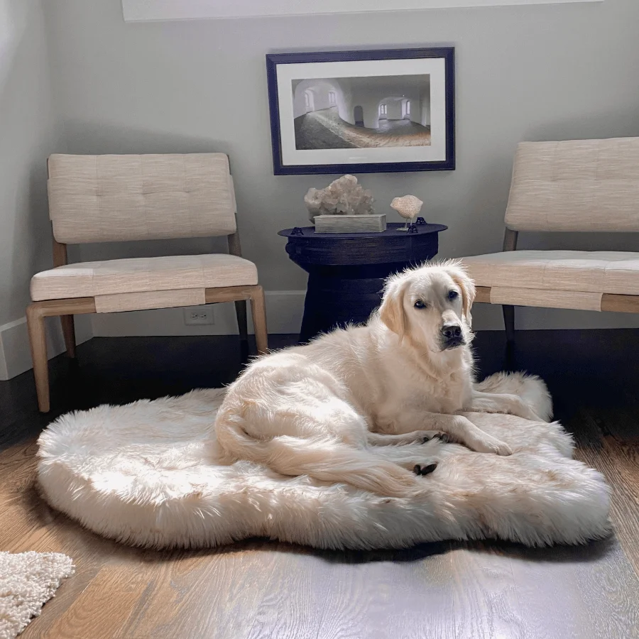 Image of PupRug™ Faux Fur Orthopedic Dog Bed - Curve White with Brown Accents