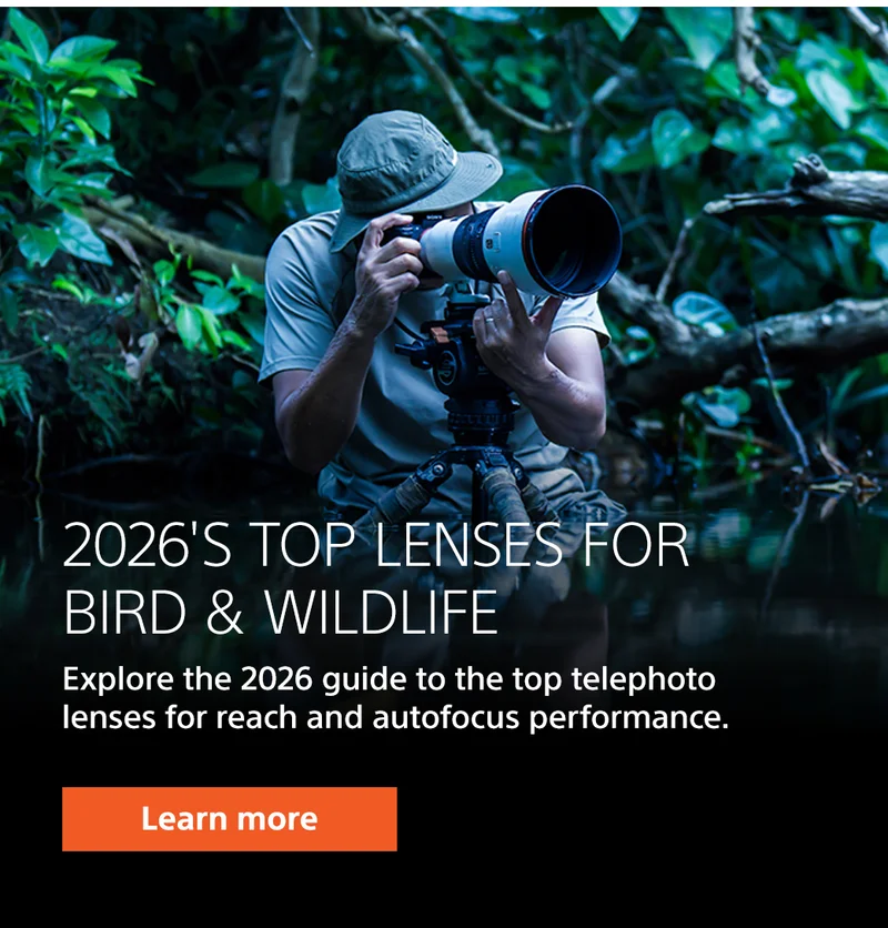 2026's Top Lenses for Bird and Wildlife | Learn more