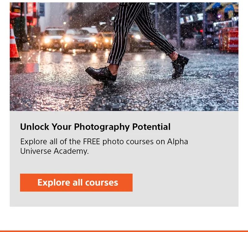 Unlock Your Photography Potential | Explore all courses