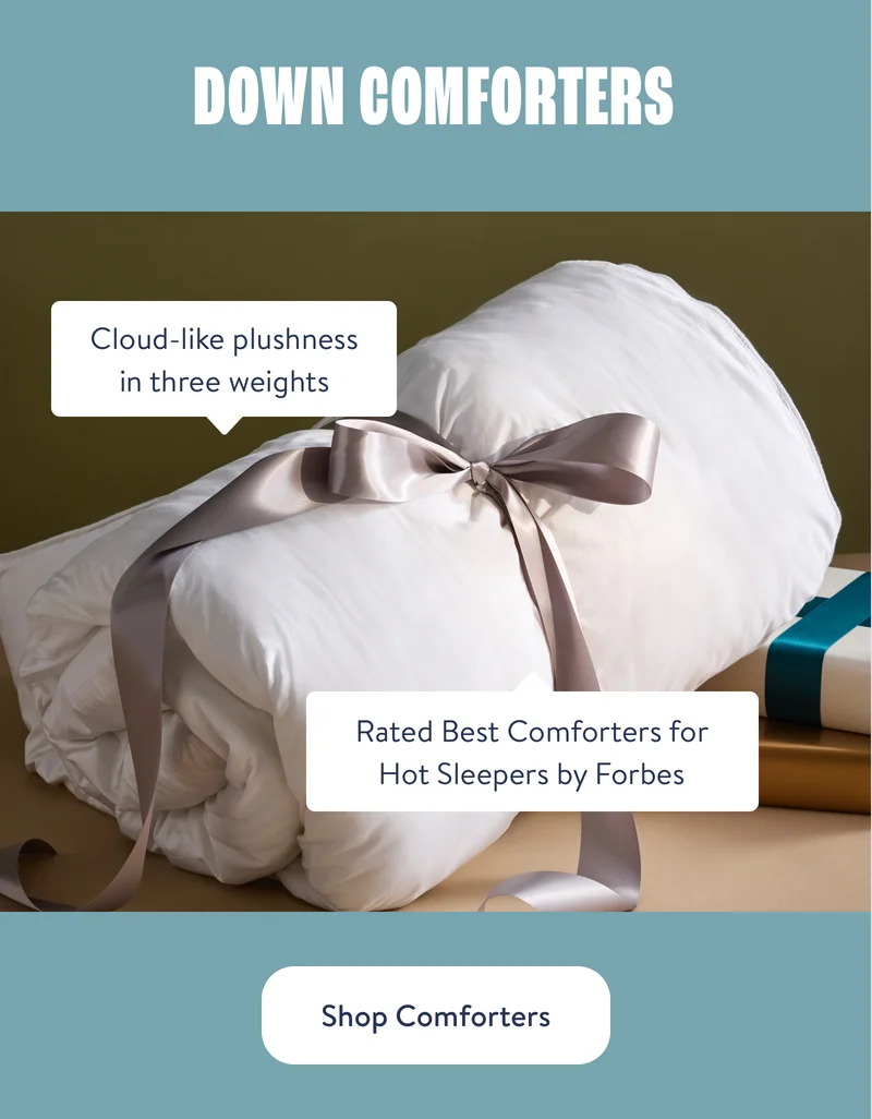 Shop Comforters
