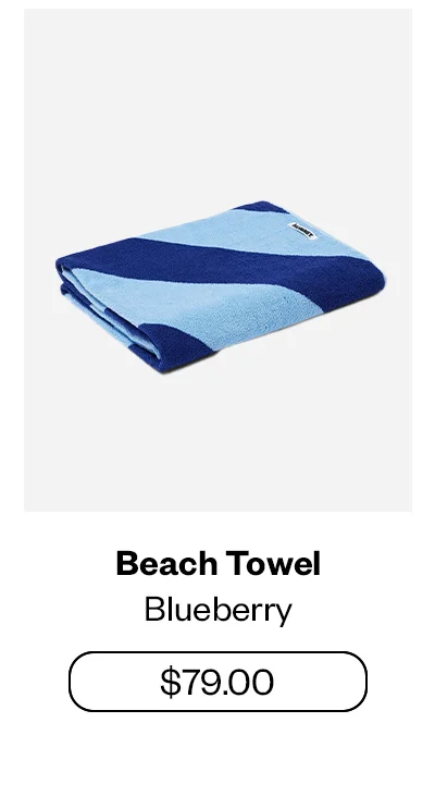 Beach Towel - Blueberry
