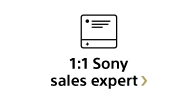 1:1 Sony sales expert