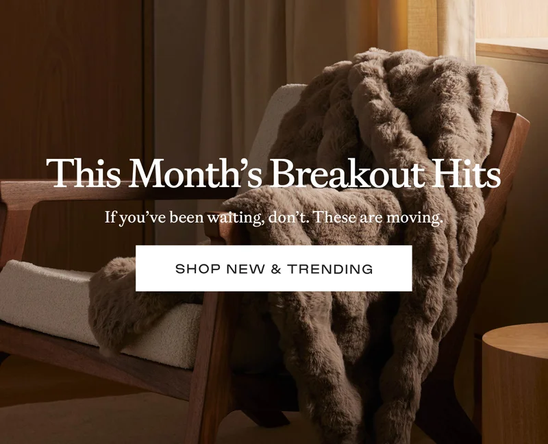 This Month's Breakout Hits - Shop New & Trending This Month's Breakout Hits - Shop New & Trending