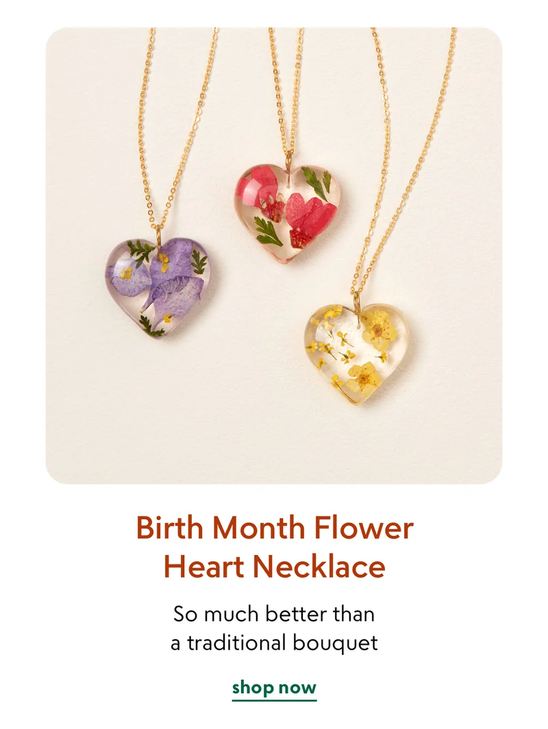 shop now