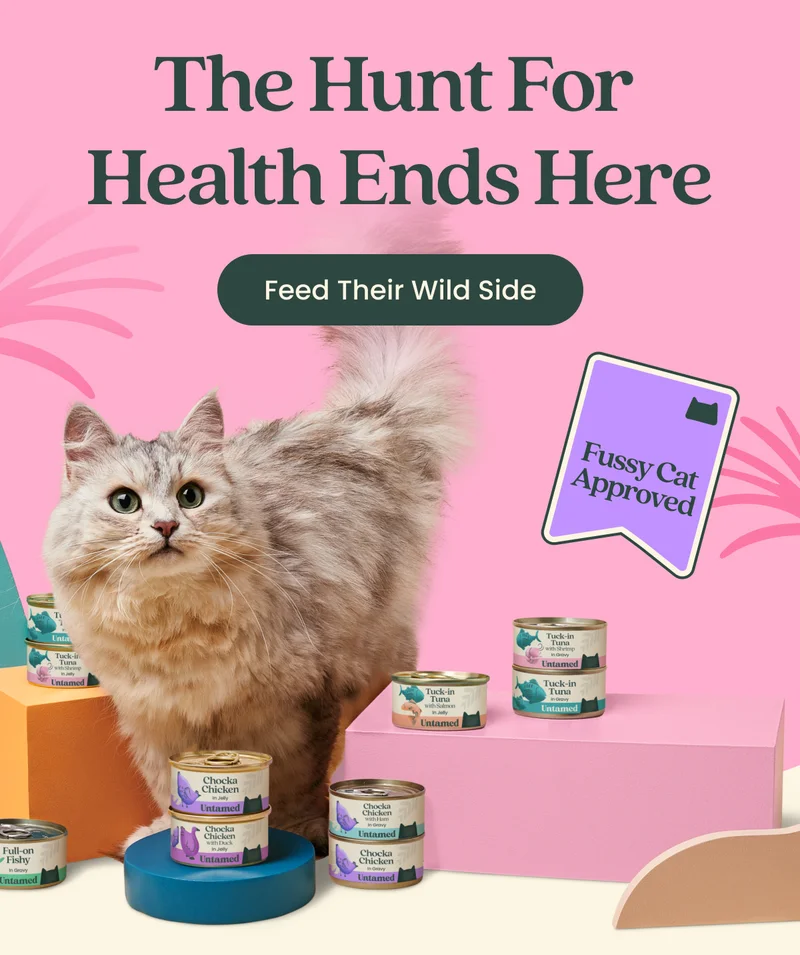 The Hunt For Health Ends Here