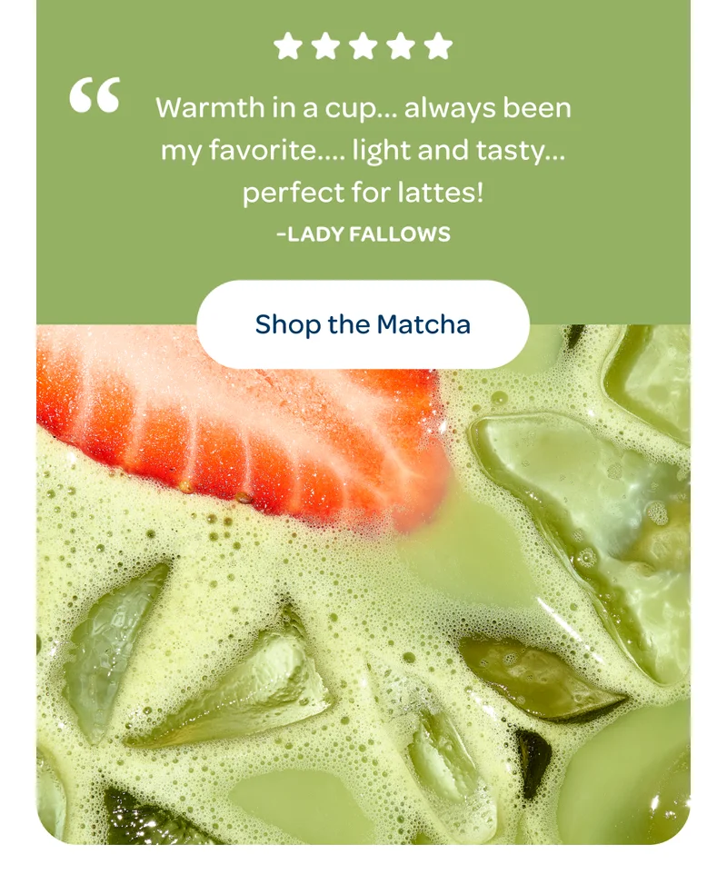 Shop The Matcha