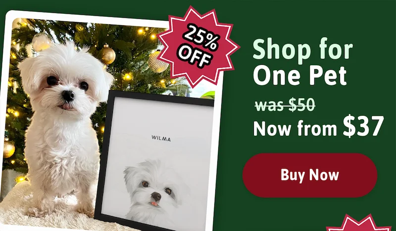 Shop for One Pet. Was $50. Now from $37. Shop 25% Off Now.