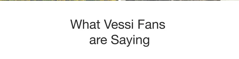 What Vessi Fans are Saying