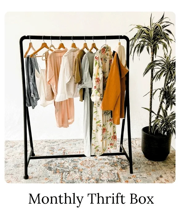 Monthly Thrift Box A Curated Thrift