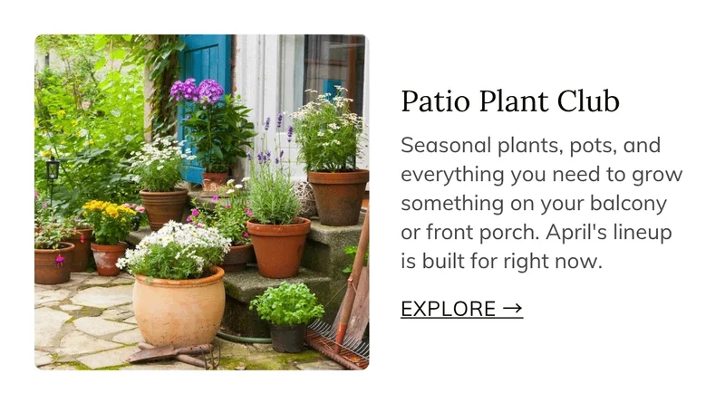 Patio Plant Club