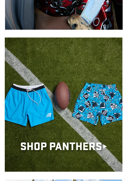 SHOP PANTHERS