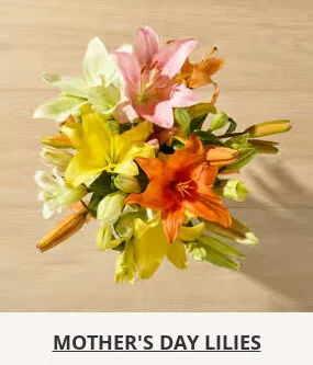 Flowers At a Great Price