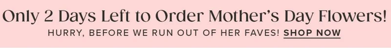 Only 2 Days Left to Order Mother's Day Flowers! Hurry, before we run out of her faves. Shop Now.