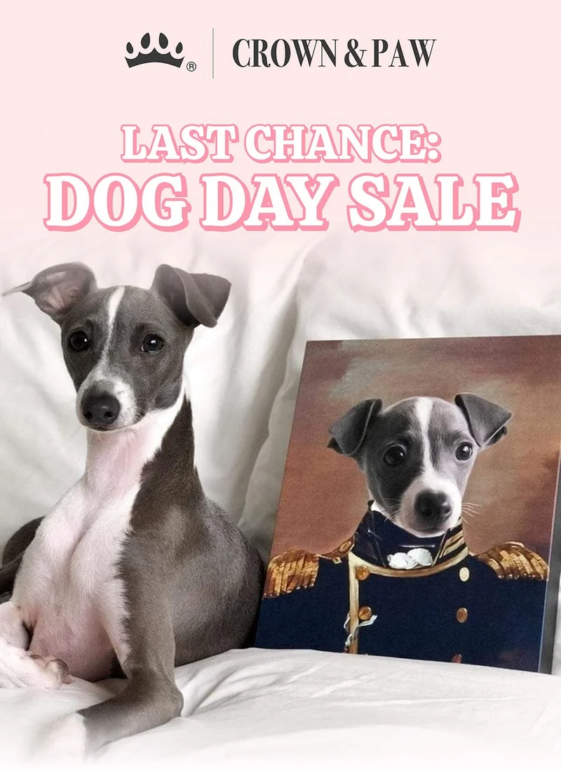 Last Chance: Dog Day Sale