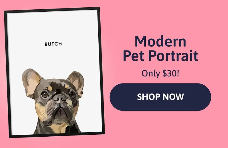 Modern Pet Portrait. Only $30!
