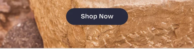 Shop Now Button - Image