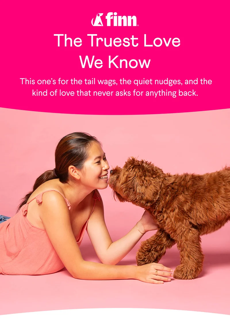 Finn logo. Text:&nbsp;&nbsp;The Truest Love We Know &nbsp;This one’s for the tail wags, the quiet nudges, and the kind of love that never asks for anything back.