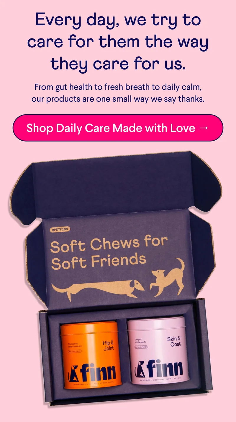 Text: Every day, we try to care for them the way they care for us. From gut health to fresh breath to daily calm, our products are one small way we say thanks. CTA: Shop Daily Care Made with Love →