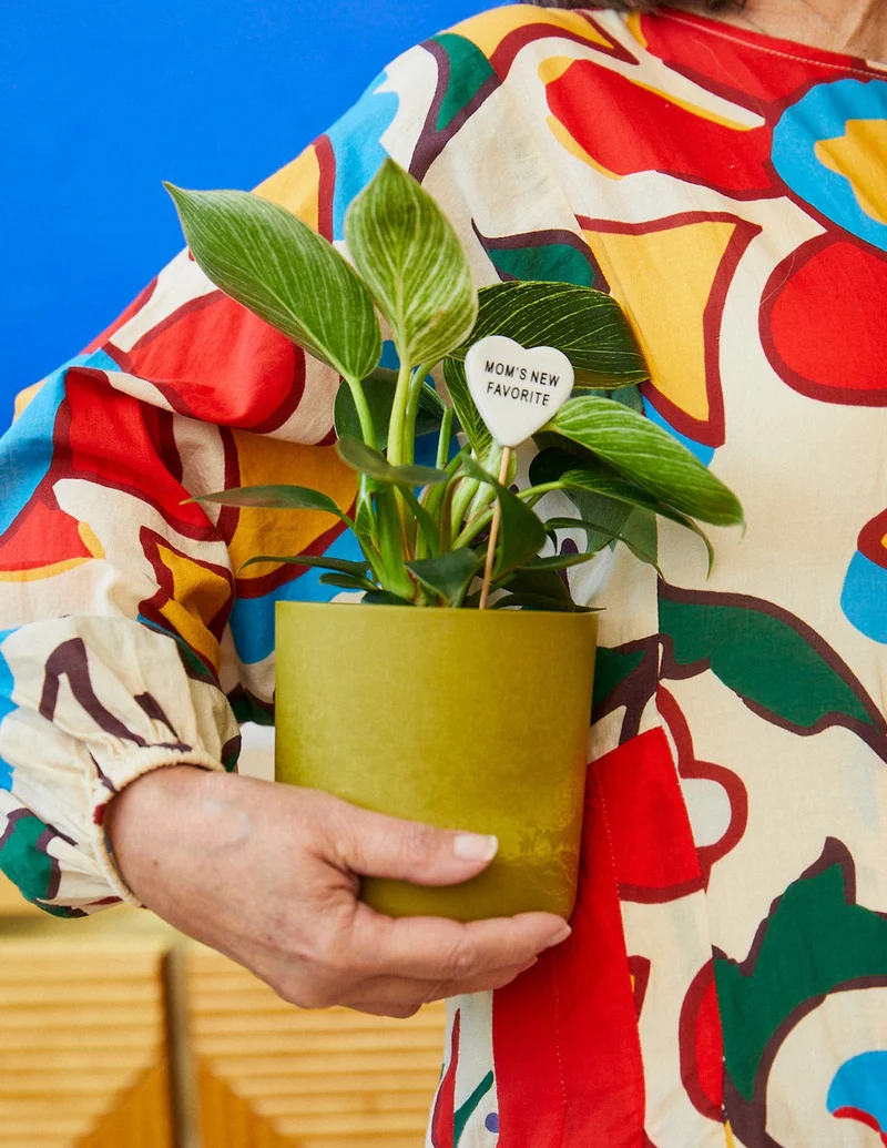 Image of Upcycled Planter