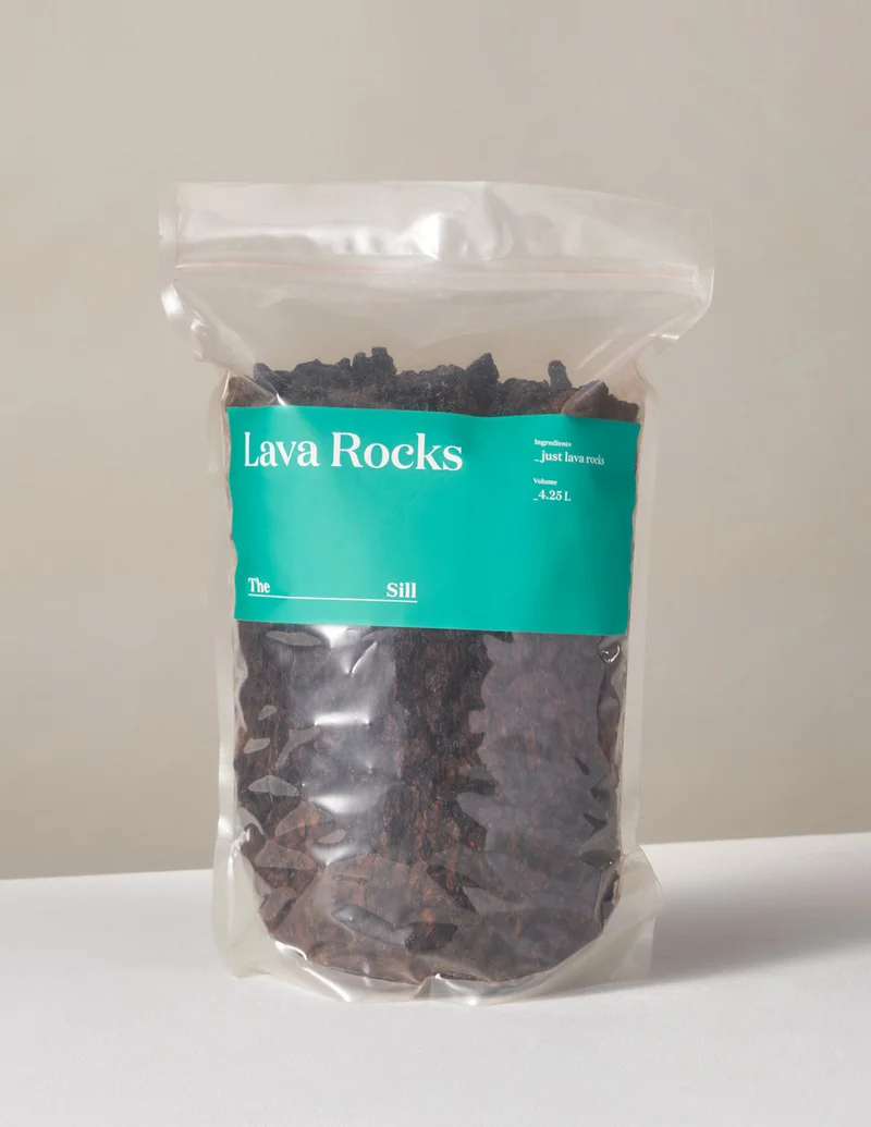 Image of Organic Lava Rocks