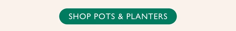 Shop Pots and Planters