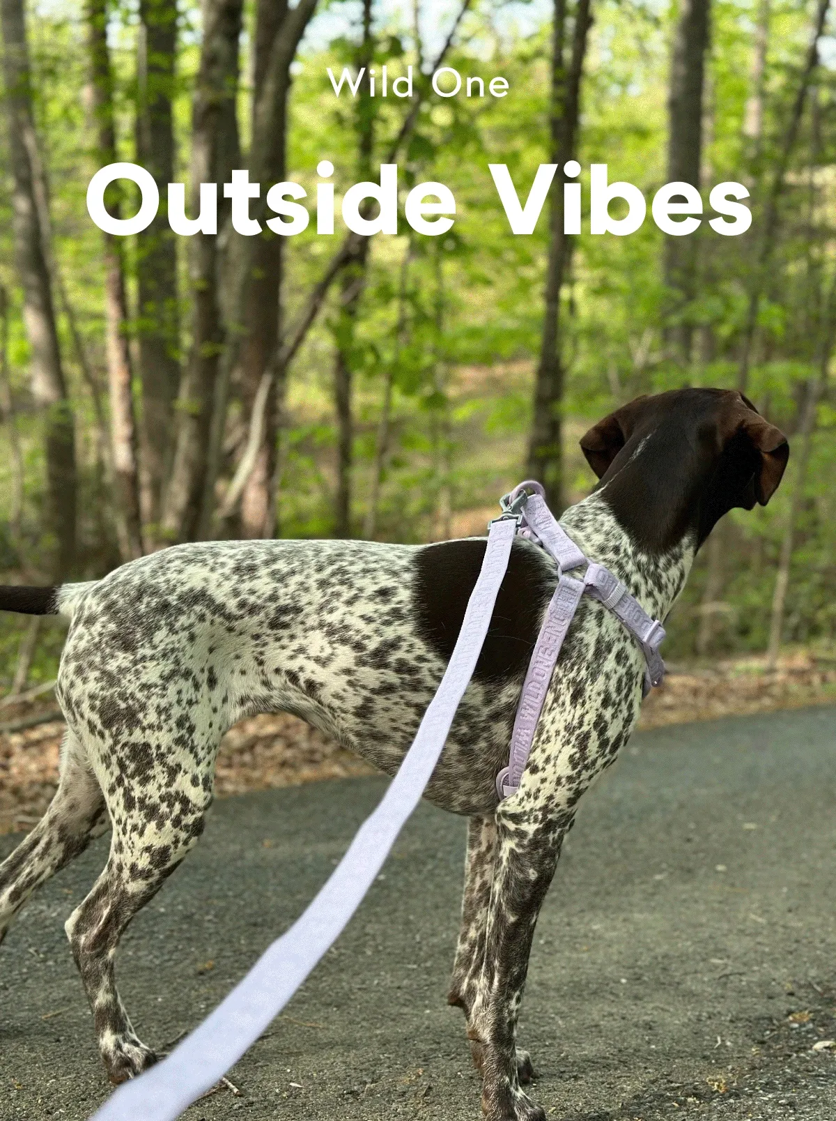 OUTSIDE VIBES