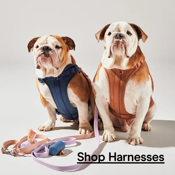 shop harnesses