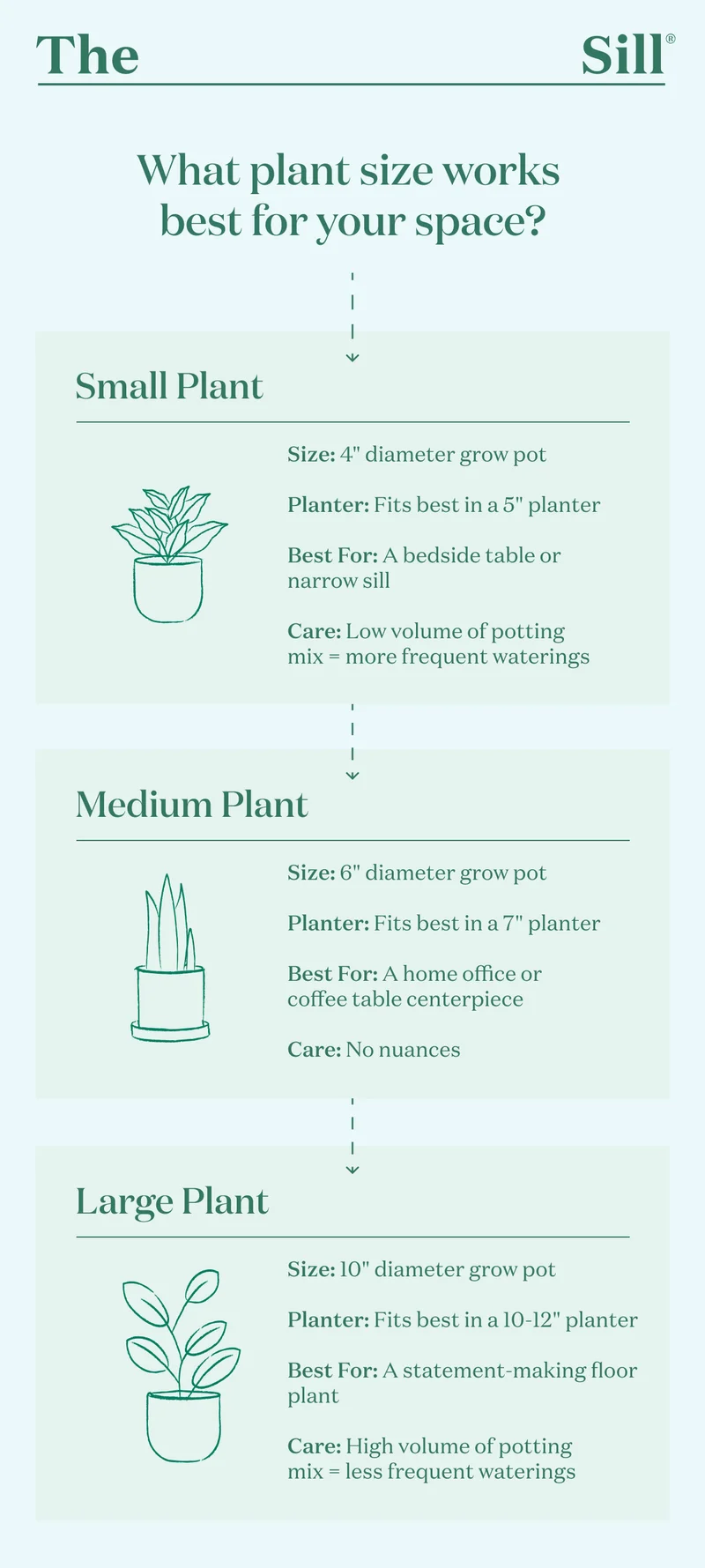 What plant size works best for your space? Learn more about our small, medium, and large houseplant sizes.