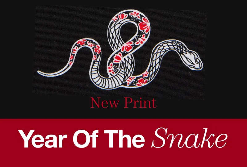 Year Of The Snake