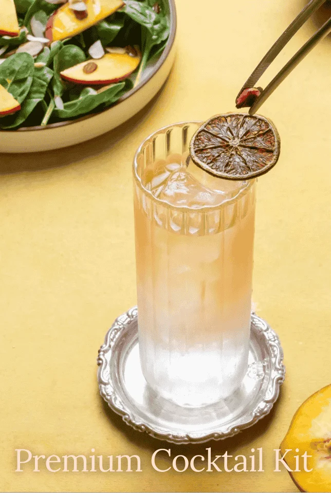 Shaker and Spoon Cocktail Kit