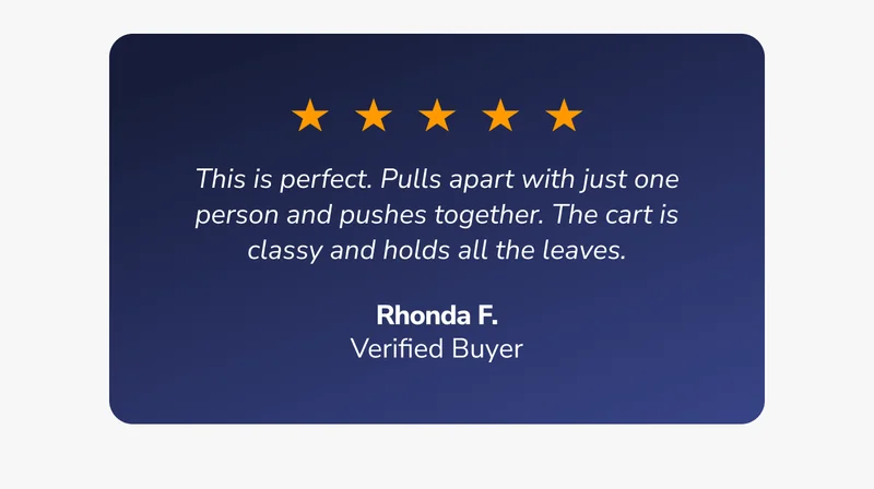 Rhonda's Review