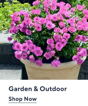 garden & outdoor