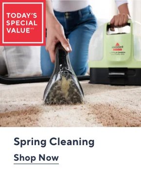 spring cleaning