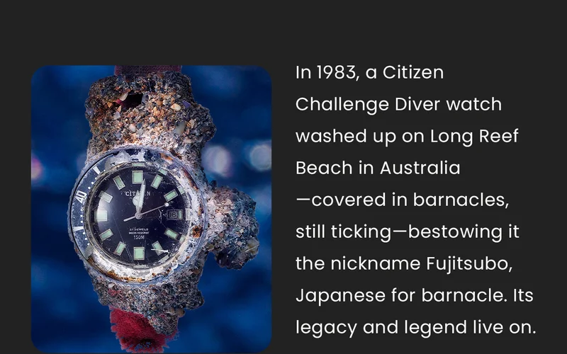 In 1983, a Citizen Challenge Diver watch washed up on Long Reef Beach in Australia —covered in barnacles, still ticking—bestowing it the nickname Fujitsubo, Japanese for barnacle. Its legacy and legend live on.