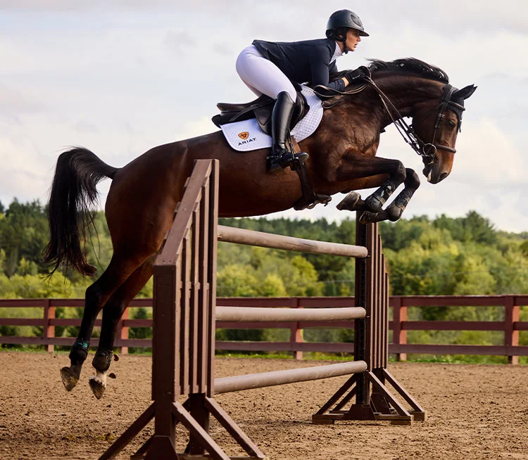 EQUESTRIAN ESSENTIALS. Rider-loved gear for training, show, and everyday.