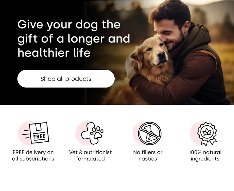 Give your dog the gift of a longer and healthier life - Shop all products