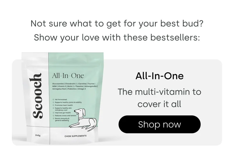 Show your love with these bestsellers - Shop All-In-One