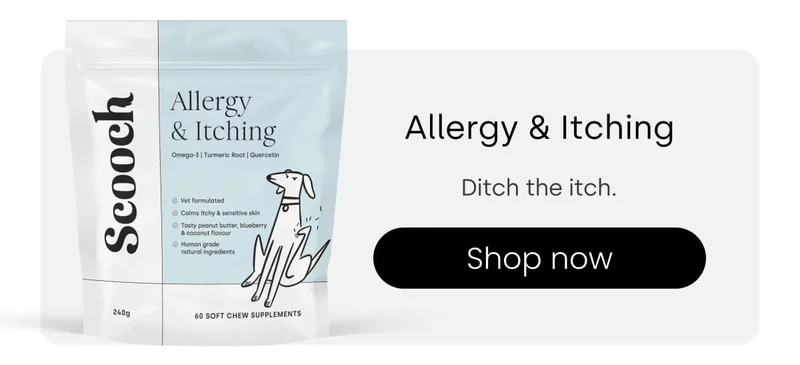 Show your love with these bestsellers - Shop Allergy & Itching